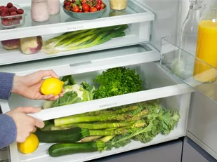 Electrolux GreenZone 700 LNG7TE18S - Lodówki do zabudowy - miniaturka - grafika 11