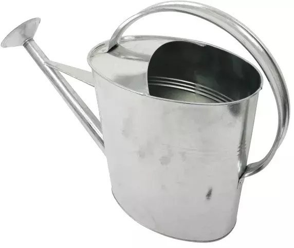 Home It ® vandkande med spreder 10 liter galvaniseret