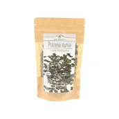 Bakalie - PIĘĆ PRZEMIAN Prażona dynia z solą kłodawską 100g - miniaturka - grafika 1