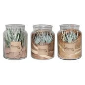 Sztuczne kwiaty - Kompozycja naturalna las w szkle 16 cm - miniaturka - grafika 1