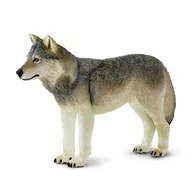 Figurki dla dzieci - Safari Wilk Szary - Gray Wolf - Ltd. - 100509 - miniaturka - grafika 1