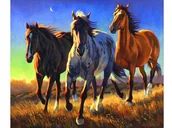 Malowanie po numerach - Malowanie po numerach. Konie 40 x 50 5580 - Norimpex - miniaturka - grafika 1