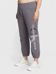 Calvin Klein Jeans Plus Spodnie dresowe J20J218017 Szary Regular Fit - Spodnie sportowe damskie - miniaturka - grafika 1