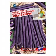 Nasiona i cebule - Fasola fioletowa karłowa Purple Teepee 40g / O / - miniaturka - grafika 1