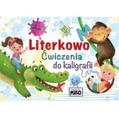 Książki edukacyjne - Niko Literkowo. Ćwiczenia do kaligrafii praca zbiorowa - miniaturka - grafika 1