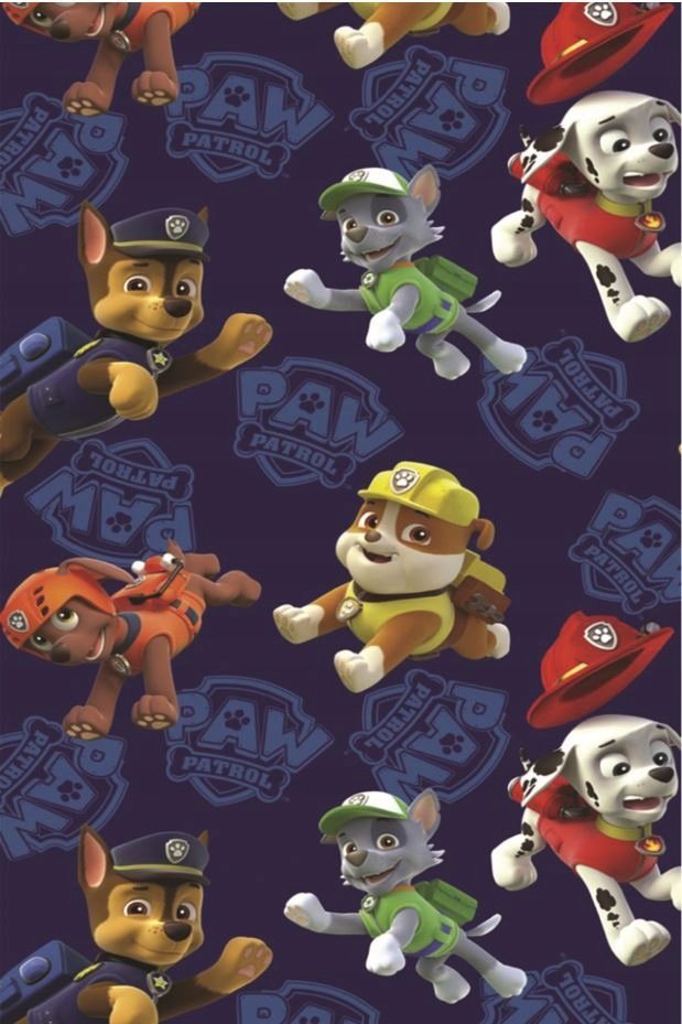 PODKŁADKA POD MYSZ Z Nadrukiem 22x18 cm Paw Patrol Psi Patrol Tekst Prezent