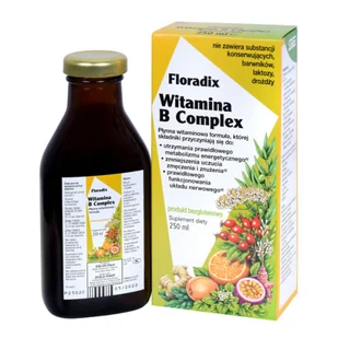 Zioło-Piast FLORADIX Floradix Witamina B Complex 250 ml - Witaminy i minerały - miniaturka - grafika 1