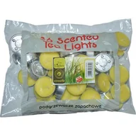 Zwalczanie i odstraszanie szkodników - Podgrzewacz zapachowy antykomarowy A'36 CITRONELLA - miniaturka - grafika 1