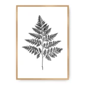 Plakaty - Dekoria Dekoria Plakat Fern Grey 30 x 40 cm Ramka Złota 219A-000-07 - miniaturka - grafika 1