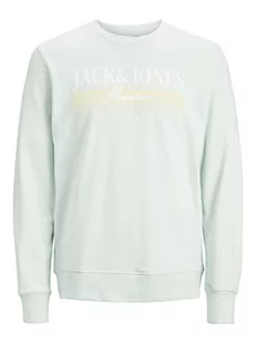JACK & JONES Jorpalma Branding Sweat Crew Neck bluza męska, jasnoniebieski, XL - Bluzy męskie - miniaturka - grafika 1