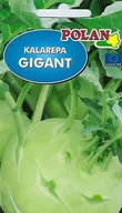 Nasiona i cebule - Kalarepa Gigant 2 g POLAN - miniaturka - grafika 1