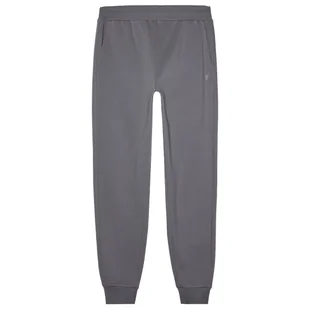 Męskie spodnie dresowe 4F Trousers M0943 Rozmiar: M / Kolor: szary - Spodnie sportowe męskie - miniaturka - grafika 1