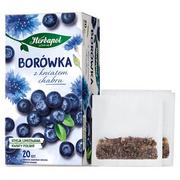 Herbata - Herbapol Herbatka Owocowa Borówka Z Kwiatem Chabru (20 Torebek X 2,3G) 46G - miniaturka - grafika 1