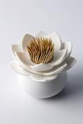 Naczynia i sztućce jednorazowe - Qualy Qualy Lotus Biały Pojemnik Na Wykałaczki Plastikowy W96h - miniaturka - grafika 1
