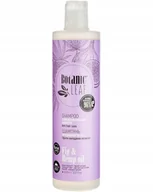 Szampony do włosów - BOTANIC LEAF Szampon przeciw wypadaniu włosów Wzmocnienie i wzrost, 400 ml - miniaturka - grafika 1