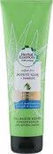 Odżywki do włosów - Odżywka do włosów Herbal Essences Bio Renew Extra Aloe + Hemp Conditioner 275 ml (8001841502052) - miniaturka - grafika 1