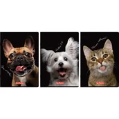 Zeszyty szkolne - Zeszyt A4 60k kratka z marginesem CRAZY ANIMAL 400196844 HERLITZ - miniaturka - grafika 1