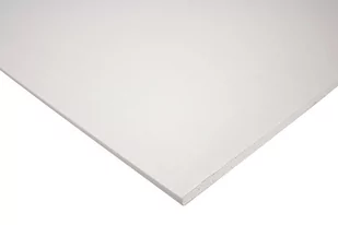 Płyta gipsowo-kartonowa ogniotrwała Norgips 600x1200x12,5 mm GKF typ DF - Inne materiały budowlane - miniaturka - grafika 1