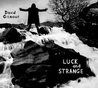 Winyle - Luck and Strange (zielony winyl) - miniaturka - grafika 1