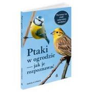 Poradniki hobbystyczne - Amber Ptaki w ogrodzie - jak je rozpoznawać w.4 Daniela Strauss - miniaturka - grafika 1