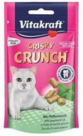 Suplementy i witaminy dla kotów - Vitakraft Cat Crispy Crunch dental 60g [2428813] MS_12458 - miniaturka - grafika 1