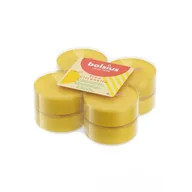 Świece - Podgrzewacze Maxi Lights 8H 8Szt. True Scents Citronella Bolsius - miniaturka - grafika 1