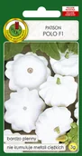 Nasiona i cebule - DYNIA ZWYCZ. PATISON POLO PLENNY NASIONA BEZ GMO - miniaturka - grafika 1