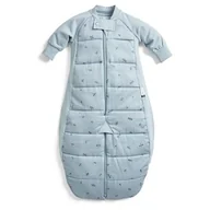 Śpiworki dla dzieci - Ergopouch Śpiworek Kombinezon 8-24m 2.5tog Dragonflies - miniaturka - grafika 1