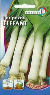 Por Elefant średniopóźny jesienny 1g / L / - Nasiona i cebule - miniaturka - grafika 1