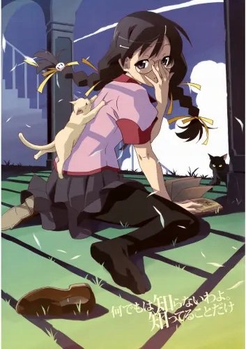 Plakat Anime Bakemonogatari bm_123 A2 (custom)