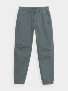 Spodnie i spodenki dla chłopców - Spodnie casual joggery chłopięce - 4F - grafika 1