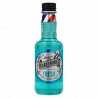 Szampony do włosów - Beardburys Fresh Szampon Odświeżający 100ml - miniaturka - grafika 1