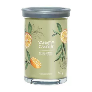 Yankee Candle Świeca zapachowa Sage & Citrus tumbler duży - Świece - miniaturka - grafika 1