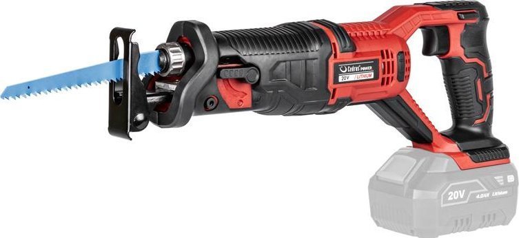 Cedrus Piła szablasta Cedrsli