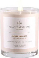 Świece - PLANTES&PARFUMS PROVENCE Świeca zapachowa perfumowana - Intense Amber - Drogocenna Ambra 070216 - miniaturka - grafika 1