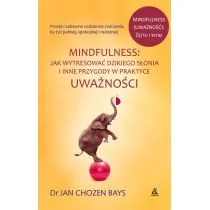 Mindfulness Jak wytrenować dzikiego słonia i inne przygody w praktyce uważności - Rozwój osobisty Mindfulness Jak wytrenować dzikiego słonia i inne przygody w praktyce uważności - Rozwój osobisty - miniaturka - grafika 1
