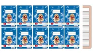 Zeszyty szkolne - Zeszyt A5 16k nauki pisania poziom 1 HERLITZ 10szt - miniaturka - grafika 1