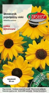 Nasiona Słonecznik kwiatowy pojedynczy niski żółty 2g - Torseed - Nasiona i cebule - miniaturka - grafika 1