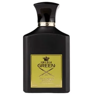 Wody i perfumy męskie - Pendora Scents Irish Green woda perfumowana 100 ml - miniaturka - grafika 1