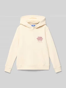 Bluza z kapturem model 'MEADOWS' - Swetry dla chłopców - miniaturka - grafika 1