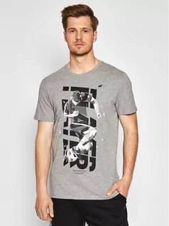 Koszulki męskie - 4F T-Shirt H4L21-TSM011 Szary Regular Fit - grafika 1