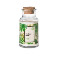 Świece - Sojowa świeca zapachowa DARKEST LIGHT WE LOVE CANDLES 220g/420g - miniaturka - grafika 1