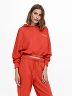 Bluzy damskie - ONLY Bluza 15239888 Pomarańczowy Regular Fit - miniaturka - grafika 1