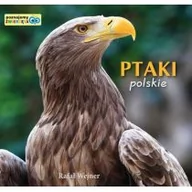 Książki edukacyjne - Ptaki polskie Poznajemy zwierzęta - Rafał Wejner - miniaturka - grafika 1