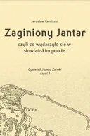 Audiobooki - fantastyka i horror - Zaginiony Jantar, czyli co wydarzyło się w słowiańskim porcie. Opowieści znad Zatoki. Część 1 - miniaturka - grafika 1