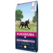 Sucha karma dla psów - Eukanuba Developing Junior Large Breed 15 kg - miniaturka - grafika 1