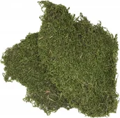 Podłoże do terrarium - Terra Natura Podłoże do terrarium mech 100g kraj pochodzenia Turcja - miniaturka - grafika 1