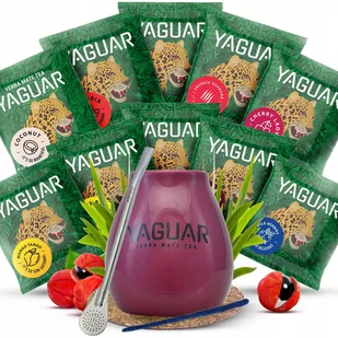 Zestaw Yerba Mate Yaguar 10x50g Tykwa Bombilla - Yerba Mate - miniaturka - grafika 1