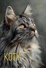Kalendarze - Kalendarz 2026 ścienny A3 Koty - miniaturka - grafika 1