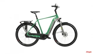 Rower elektryczny Kross Sentio Hybrid 6.0 504 Wh zielony/szary matowy - Rowery elektryczne - miniaturka - grafika 1